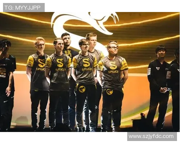 英雄联盟深度解析：FPX战队如何通过团队协作实现辉煌成就